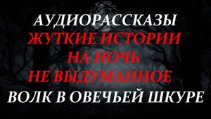 СТРАШНЫЕ РАССКАЗЫ НА НОЧЬ-ВОЛК В ОВЕЧЬЕЙ ШКУРЕ