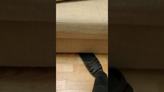 Коту скучно смотреть онлайн