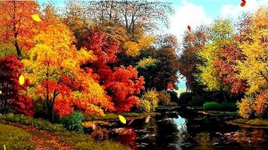 Видеофон!!! Все краски осени - футаж!!!