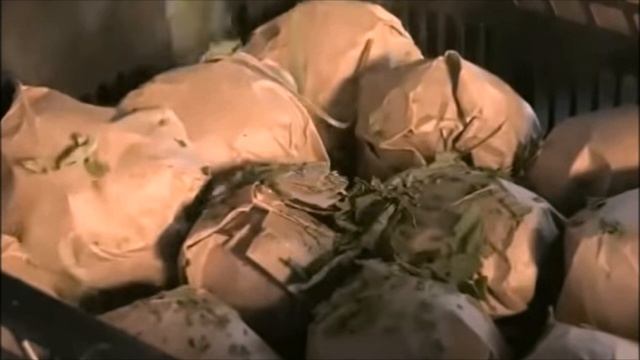 Как правильно хранить зеленые помидоры, чтобы они покраснели смотреть онлайн