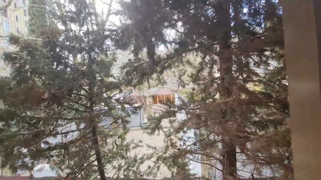 Последние 2 квартиры в Сочи с ремонтом у моря для сдачи в аренду и отдыха. Ак Кипарис Дагомыс смотреть онлайн