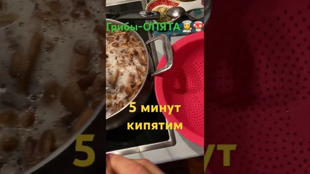 ???Грибы - Опята - на зиму: моем, варим, замораживаем???добавляем в любые блюда