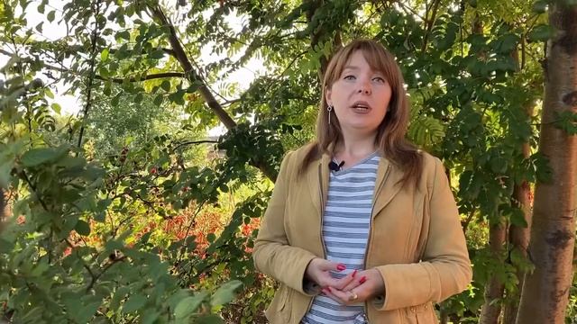 Первое свидание смотреть онлайн