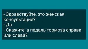 Дружок на Свадьбе Показал Невесте Свое"Хозайство" Сборник Свежих Анекдотов! (Юмор)