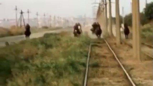 Когда тебя обманывает работодатель смотреть онлайн