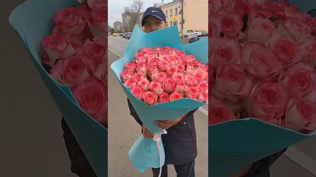 51 роза сорт джумилия смотреть онлайн