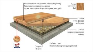 Tarkett Show Паркет(Таркетт в Новосибирске)