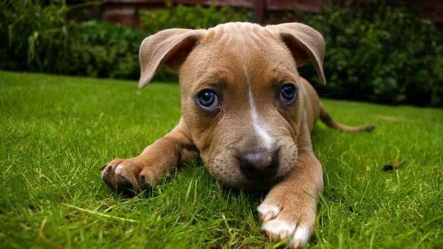 Новый сингл 2014. Новинка просто хит! Это стоит увидеть! смотреть онлайн