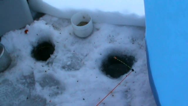 Белоярское водохранилище рыбалка