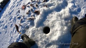 Рыбалка на окуня. Озеро Чаны