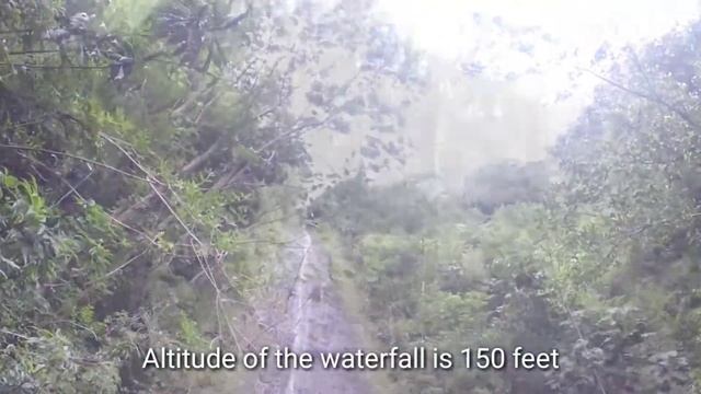 Hawaii - за копейку канарейку, лучшие 10 мест. Часть 1 смотреть онлайн