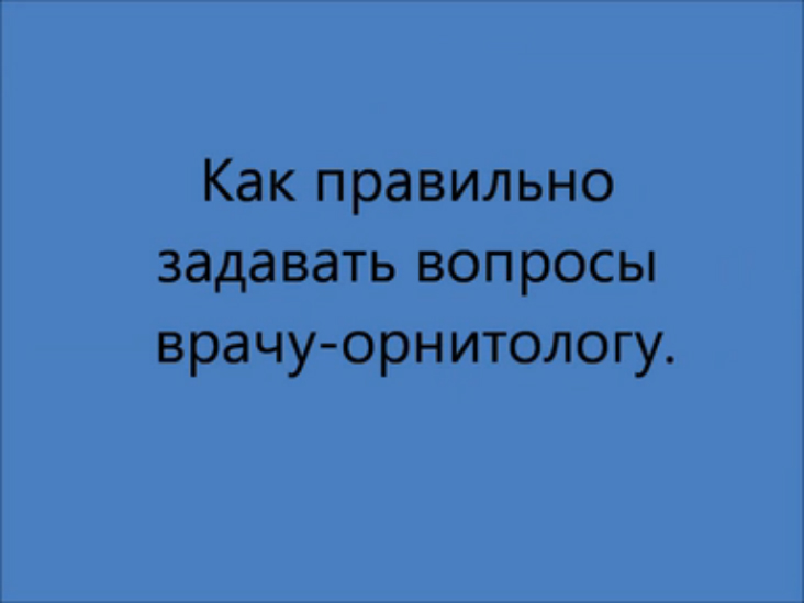 Как задавать вопросы ветврачу орнитологу.