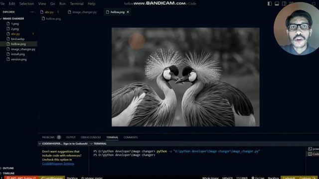 Python Image Convert to Grayscale - Using COLOR_BGR2GRAY,  imread, imshow, waitKey