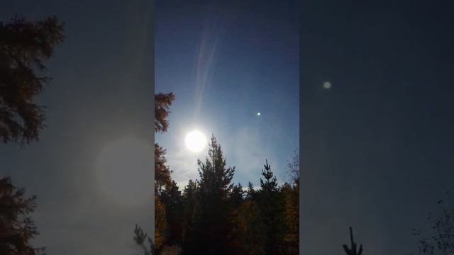 Отличный золотой, осенний день 🌲🌳🍁🍂👍 смотреть онлайн