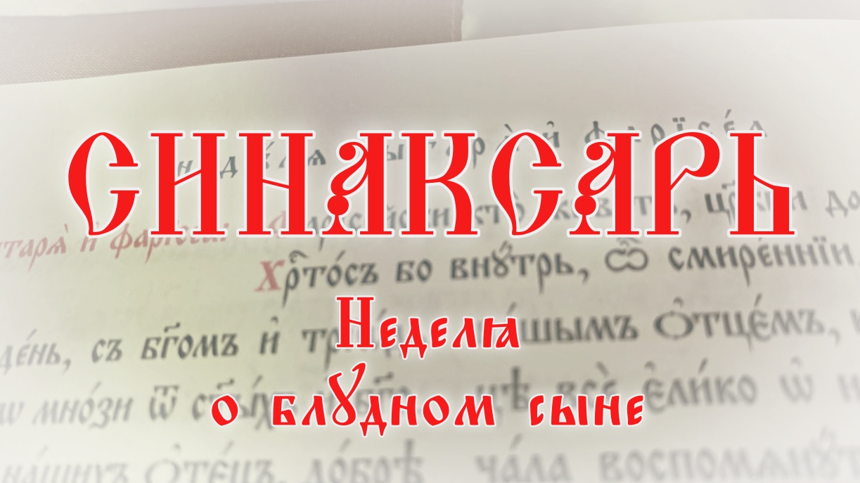 Синаксарь. Неделя о блудном сыне #православие