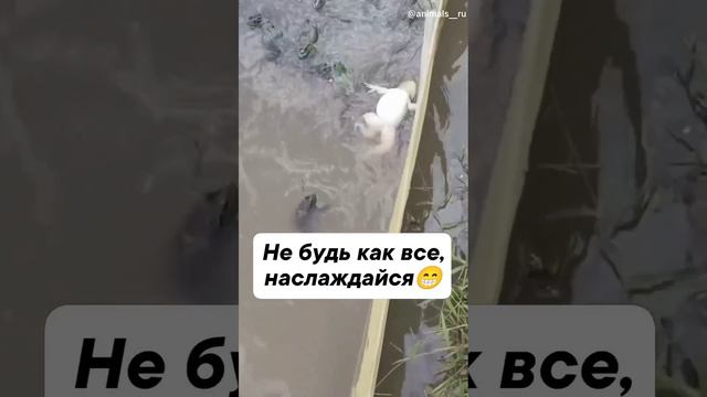 Не будь как все