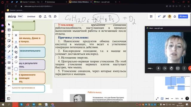 Работа мышц смотреть онлайн