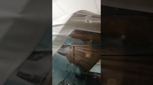 Тент для лодки Крым М