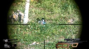 Crow hunting-Кроухантинг, Осенние пострелушки!