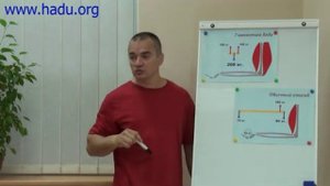 Основные принципы Хаду.