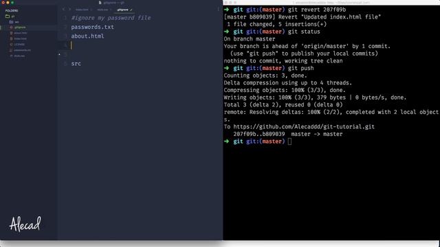 09 Learn Git from Scratch The Git Revert Command смотреть онлайн