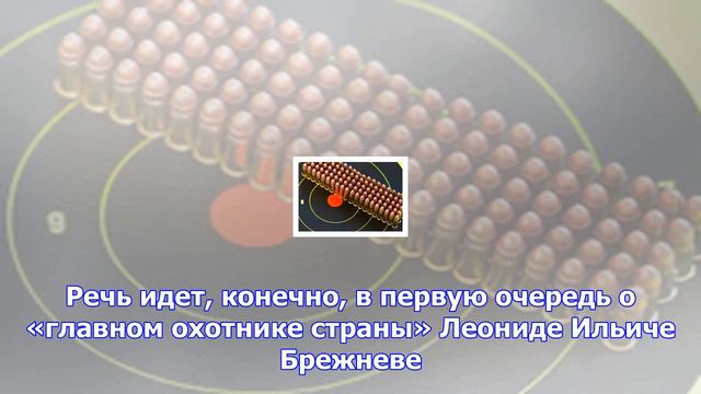 Охота и рыбалка