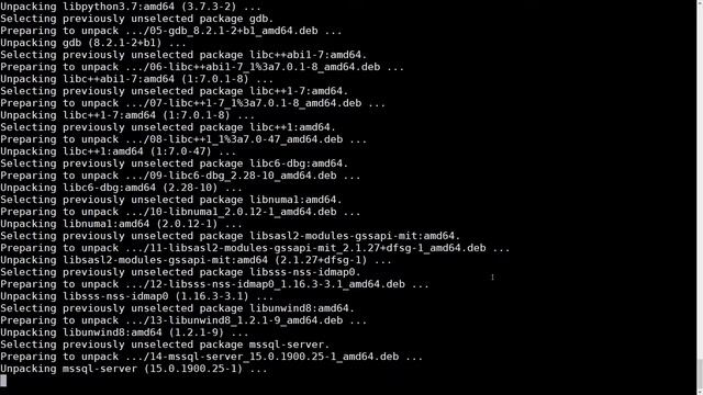 How to install SQL Server 17 ( MSSQL ) on Debian Buster 10 linux or ubuntu In 7 Minutes смотреть онлайн