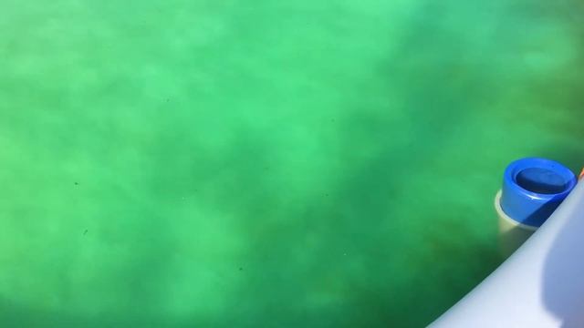 Зеленка в бассейн. Личный опыт.