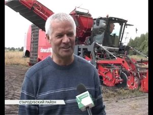 Картофель уборка  01 09 16