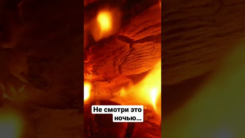 Байки охотников. Полное видео в закрепленном комментарии.