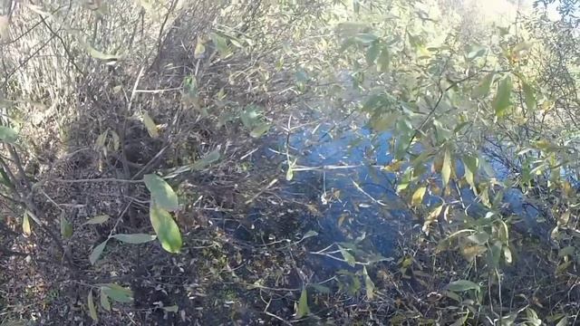 1000021397.mp4 смотреть онлайн