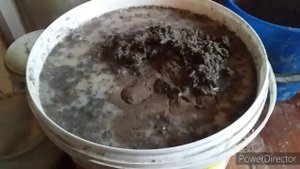 ✔Куры Несутся Круглый Год!/Дрожжи для Кур Несушек/Какие Дрожжи Давать Курам?/Как Давать Курам Дрожж