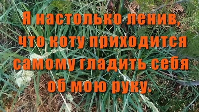АНЕКДОТЫ ПРО Мужа и Жену2/Смешные до слез/Лучшие Смешные и ржачные анекдоты 2/Приколы/Юмор Дня