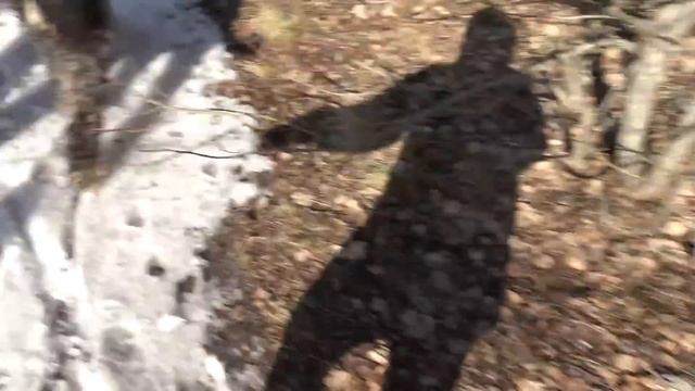 RAHASTA VAIN LAPSIA TEHDÄÄN...... смотреть онлайн