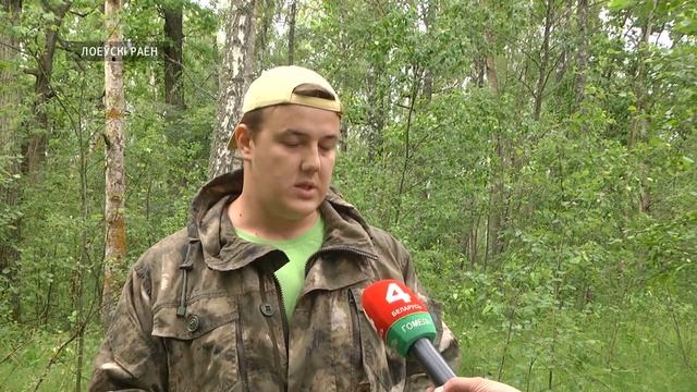 Учёные изучают природу Беларуси