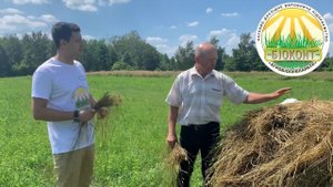 Заготовка сенажа в тюки, с помощью консерванта «Биоконт».
