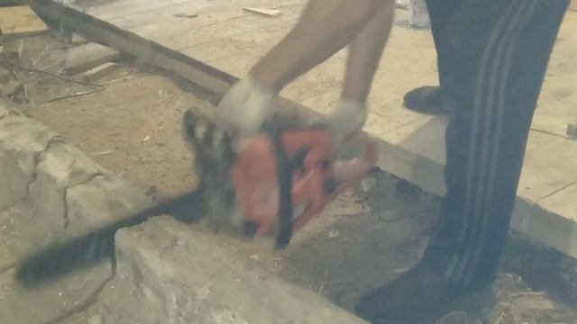 Чуть не осеменили тельную корову//Продолжаем стройку коровника. смотреть онлайн