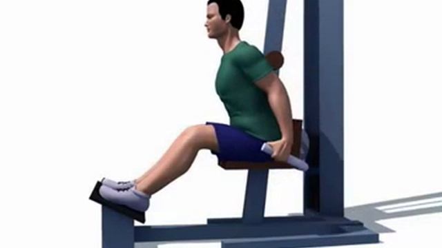 Разгибания туловища из положения сидя на тренажере смотреть онлайн