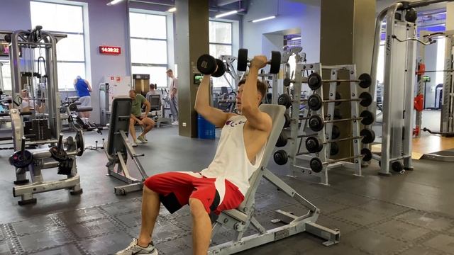 Жим гантелей сидя - техника выполнения смотреть онлайн