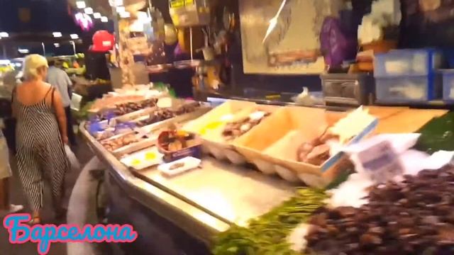 Барселона. Равальский кот #испания #barcelona
