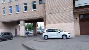 4 июня 2024. День объятий с кошками.