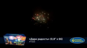 Фейерверк Р7333 "Дари радость!" (0,8" х 66 залпов)