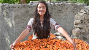 Второй этап РДТ. Переход с внутреннего на внешнее питание. Племя Хунза.