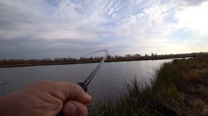 Лесное ОЗЕРО заполнено ЩУКАМИ! Эти БЛЕСНА ловят! Осенний ЖОР щуки! Рыбалка в Астраханской области!