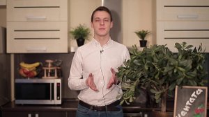 Ароматизация чая