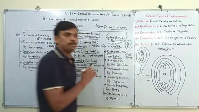 Types of Oveuls [Basis of Integuments] смотреть онлайн