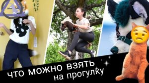 квадробика, что нужно брать с собой на прогулку 🤔