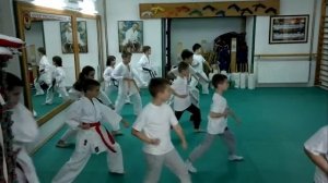 ката на красный пояс