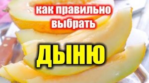 Сам себе дынная плодожорка