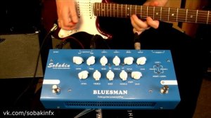 Sobakin "BLUESMAN" - ламповый предусилитель. Обзор.